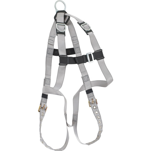 Dynamic B-Compliant Economy Harness, CSA Certified, Class AE, 310 lbs. Cap. NTL Industrial