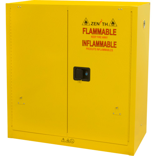 Flammable Storage Cabinet, 30 gal., 2 Door, 43" W x 44" H x 18" D NTL Industrial