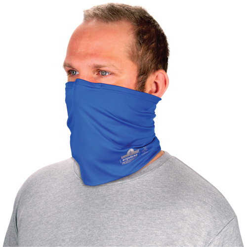 Chill-Its 6489 2-Layer Cooling Multi-Band, Blue NTL Industrial