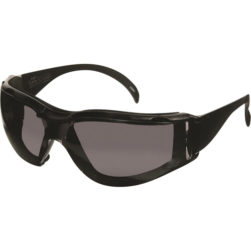 Lunettes de s&eacute;curit&eacute; CeeTec DX, Lentille Gris, Antibu&eacute;e/Anti-&eacute;gratignures, R&eacute;pond ou surpasse la norme CSA Z94.3 NTL Industrial