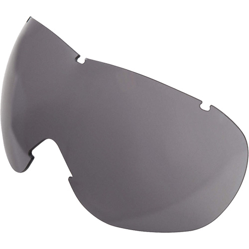 Lentille de rechange pour les lunettes de s&eacute;curit&eacute; &agrave; coques Uvex Sub-Zero, Antibu&eacute;e/anti-&eacute;gratignures, Gris, Uvex Sub-Zero NTL Industrial
