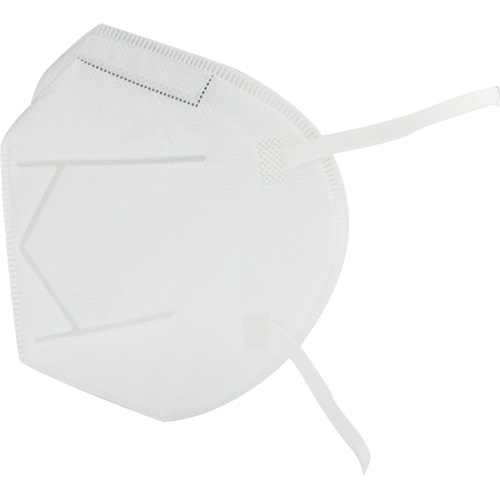 Respirateur jetable, N95, Certifi&eacute; NIOSH, Taille unique NTL Industrial