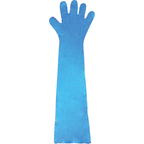 Gants jetables en latex, Gants jetables, Gants jetables en vinyle, Poly&eacute;thyl&egrave;ne, Sans poudre, Bleu NTL Industrial