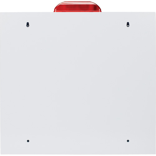 Grande armoire standard pour DEA avec alarme & stroboscope, Zoll AED Plus/Zoll AED 3/Cardio-Science/Physio-Control Pour, Non m&eacute;dical NTL Industrial