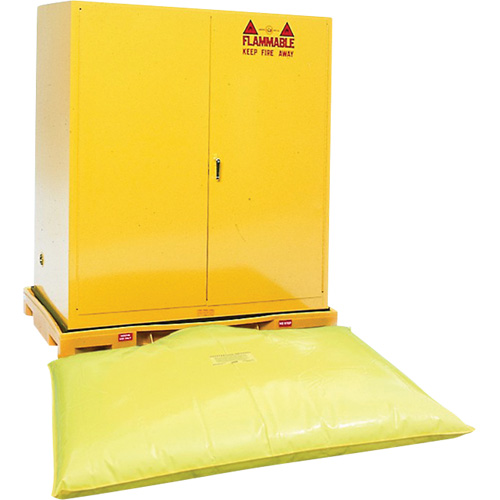 Double Drum Ultra-Safety Cabinet Bladder System, 63" lo x 38,5" la x 6,3" h, Capacit&eacute; de charge 3000 lb NTL Industrial