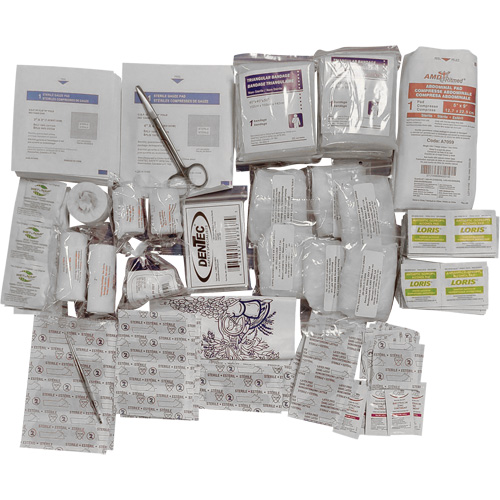 Shield Basic First Aid Kit Refill, Meets CSA Z1220-17 Type 2 Low-Risk Environment, Medium (26-50 Workers) NTL Industrial