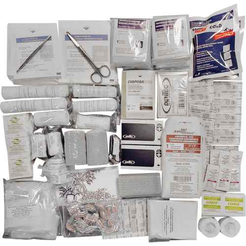 Shield Intermediate First Aid Kit Refill, Meets CSA Z1220-17 Type 3 High-Risk Environment, Medium (26-50 Workers) NTL Industrial