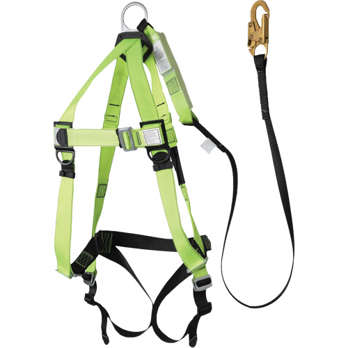 FBH-10000A5440-6 6' Class A Harness & Lanyard with 220 lbs. Capacity, Harness/Lanyard Combo NTL Industrial