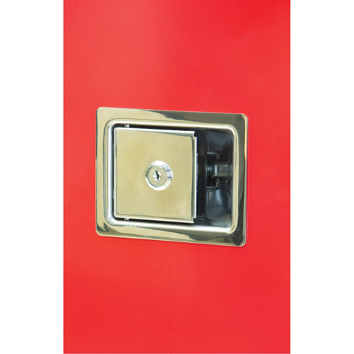 Armoires ext&eacute;rieures robustes pour extincteurs, 14" la x 28" h x 10" p NTL Industrial