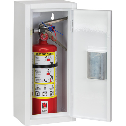 Indoor Fire Extinguisher Cabinet, 8" W x 18" H x 6" D NTL Industrial