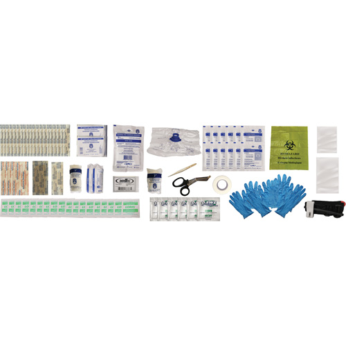 Shield First Aid Kit, Meets/Exceeds CSA Z1220-24 Type 2 Low-Risk Environment, Small (2-25 Workers) NTL Industrial