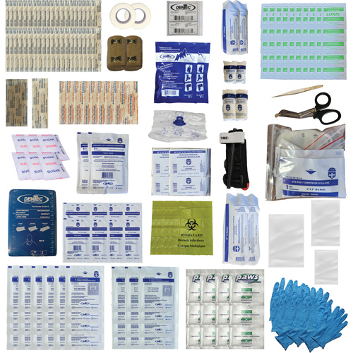 Shield First Aid Kit, Meets/Exceeds CSA Z1220-24 Type 3 High-Risk Environment, Medium (26-50 Workers) NTL Industrial
