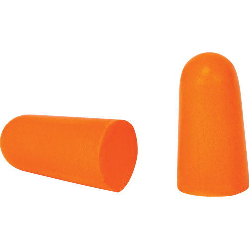Foam Earplugs, Pair - Polybag NTL Industrial
