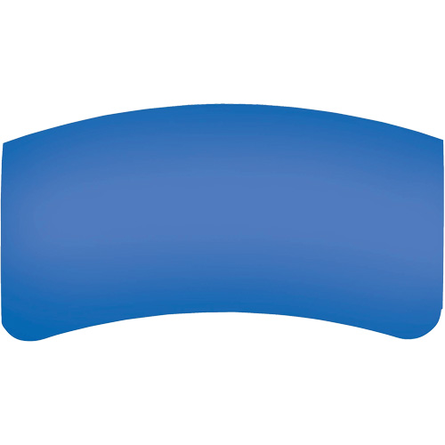 Lentille ext&eacute;rieure Bullard GenVX PETG NTL Industrial