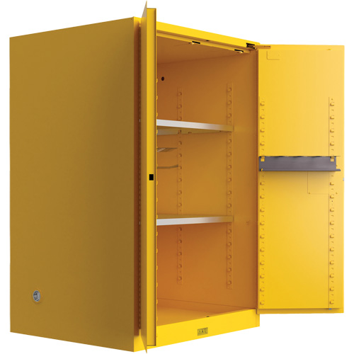 Utili-Guard+ Flammable Safety Cabinet, 45 gal., 2 Door, 43" W x 65" H x 22" D NTL Industrial