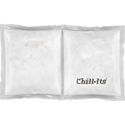 Chill-Its 6283 Rechargeable Phase Change Pack NTL Industrial