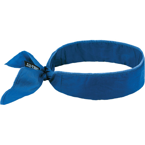 Chill-Its 6702 Cooling Headband with Embedded Polymers & Tie Closure, Blue NTL Industrial