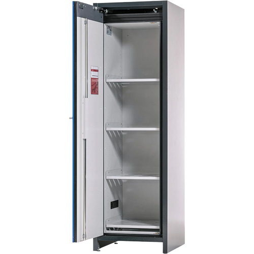 Lithium-ion Storage Cabinet with 90-Minute Fire Resistance NTL Industrial