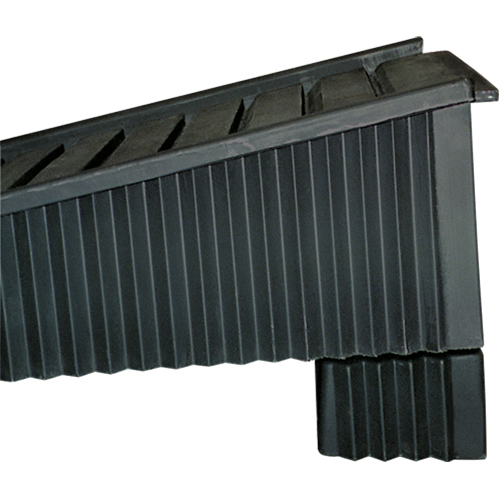 Ramp Extender NTL Industrial