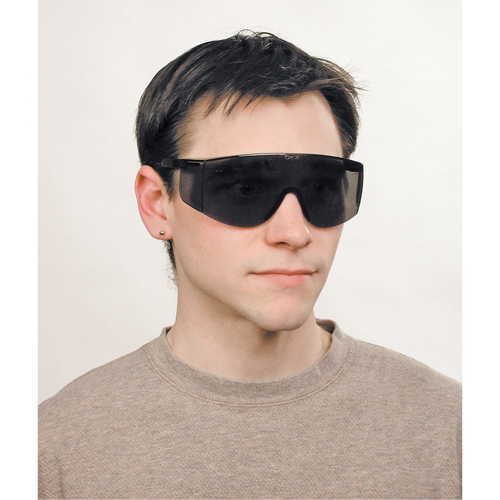 Tacoma&reg; Safety Glasses, Grey/Smoke Lens, Anti-Scratch, ANSI Z87+ NTL Industrial