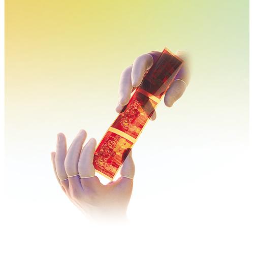 Doigtiers en latex poudr&eacute;s QRP NTL Industrial