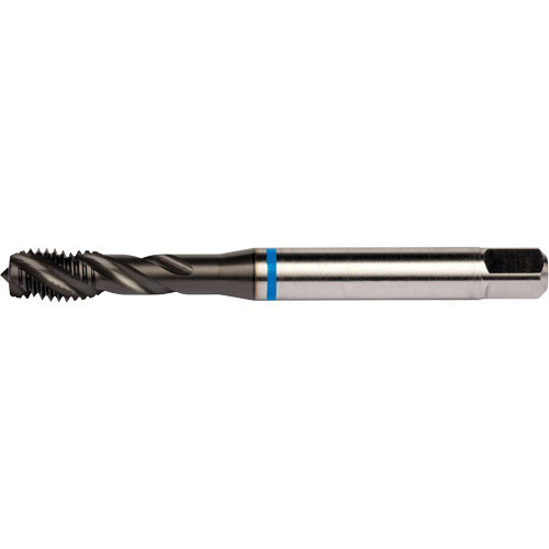 Taraud &agrave; cannelures h&eacute;licoidales Blue Shark, Acier rapide au cobalt, Filet de 1/4"-28, 3,15" l NTL Industrial