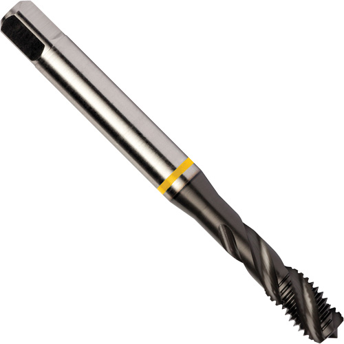Taraud &agrave; goujures h&eacute;licoidales Yellow Shark, Acier rapide au cobalt, Filet de 1/4"-20, 3,15" l NTL Industrial