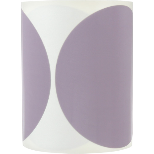 Rouleau de disques &agrave; pellicule Trizact Finesse-it 466LA, 6" dia., Grain A7, Carbure de silicium NTL Industrial