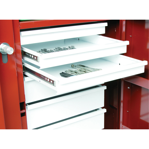 &eacute;tabli roulant, 49-7/8" la x 40-5/8" h x 26-7/8" p, Capacit&eacute; de 24,6 pi³ NTL Industrial