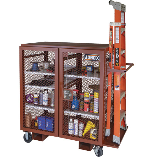 Mobile Mesh Cabinet, Steel, 37 Cubic Feet, Red NTL Industrial