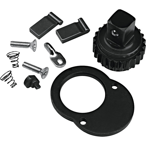 Ratchet Repair Kit NTL Industrial