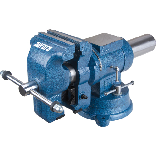 &eacute;tau d'&eacute;tabli &agrave; usages multiples, Largeur des m&acirc;choires 5", Profondeur de la gorge 3-1/10" NTL Industrial