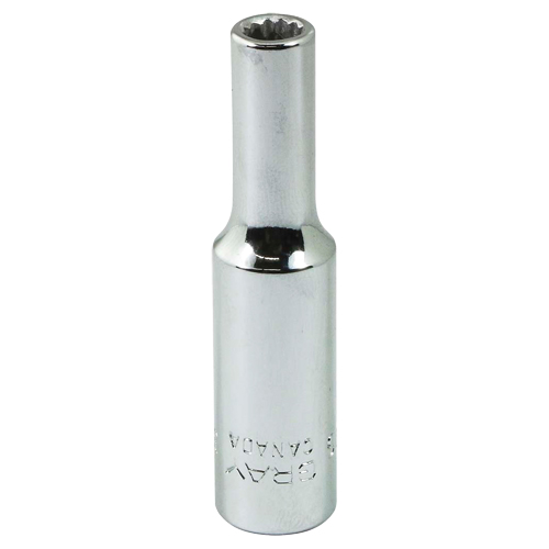 Socket, 3/16", 1/4" Drive, 12 Points NTL Industrial