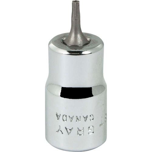Bit Socket, Torx&reg;, T8 x 2-1/8" L, 3/8" Drive NTL Industrial