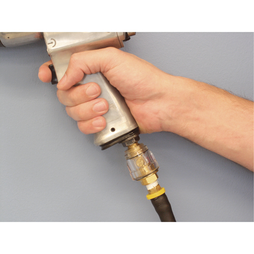 Lubricators - Standard Duty, 1/4" NPT, Max. 120 PSI, In Line NTL Industrial