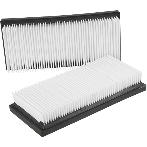 Filtres plats principaux, Cartouche, Pour 12 gal. US NTL Industrial