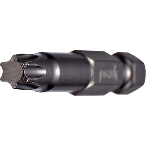 Embout pour outil &eacute;lectrique, Torx, Embout T-25, Prise 1/4", Longueur 3-1/2" NTL Industrial