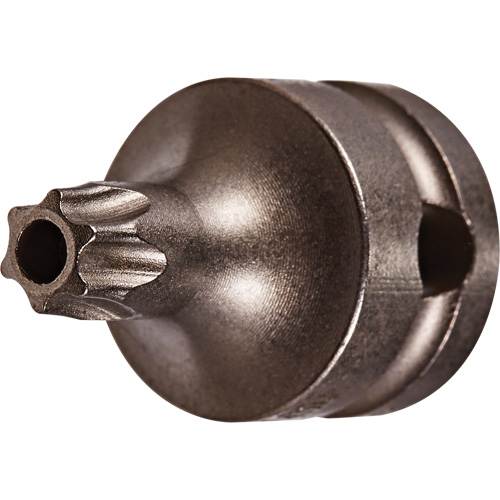 Socket Bit, Torx&reg; Tamper, 25 x 1" L, 3/8" Drive NTL Industrial