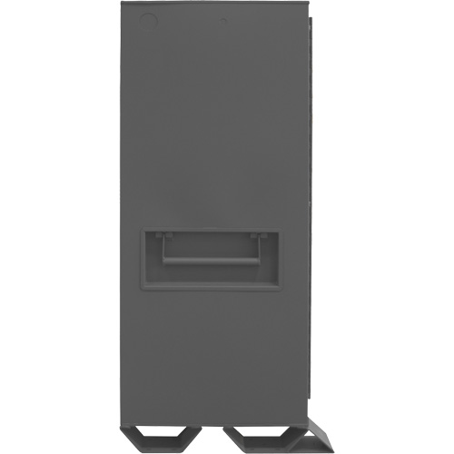 Armoire de rangement avec tablettes pour le chantier, Acier, 47,5 pi³, Gris NTL Industrial