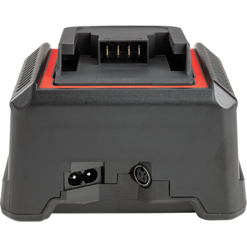 2.5 Ah & 5.0 Ah Battery Charger, 120 V, Lithium-Ion NTL Industrial
