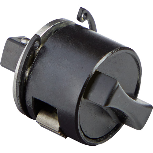 Ensemble de cliquet de rechange &agrave; pommeau de levier M12 Fuel 1/4" NTL Industrial