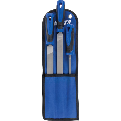 Jeu de limes avec manches, 3 pi&egrave;ces NTL Industrial