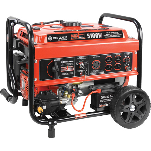 Gasoline/Propane Generator with Electric Start NTL Industrial