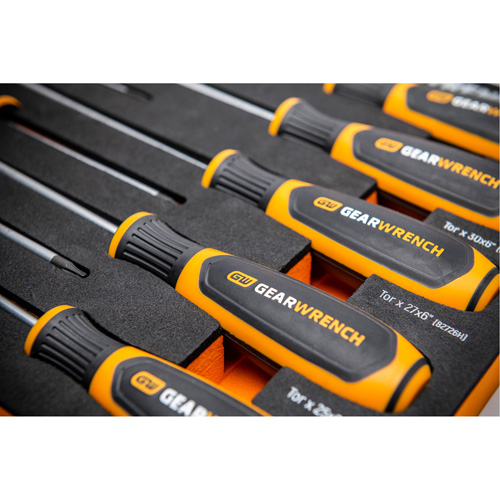 Jeu de tournevis bimat&eacute;riau Torx dans un plateau de rangement en mousse, 10 mcx NTL Industrial