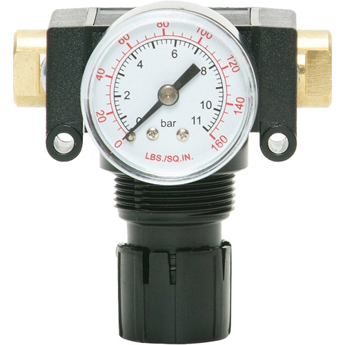 MODULAIR 200 Acetal Piston Regulator, 1/4" NPT, 150 PSI Max. PSI, In Line/Modular NTL Industrial