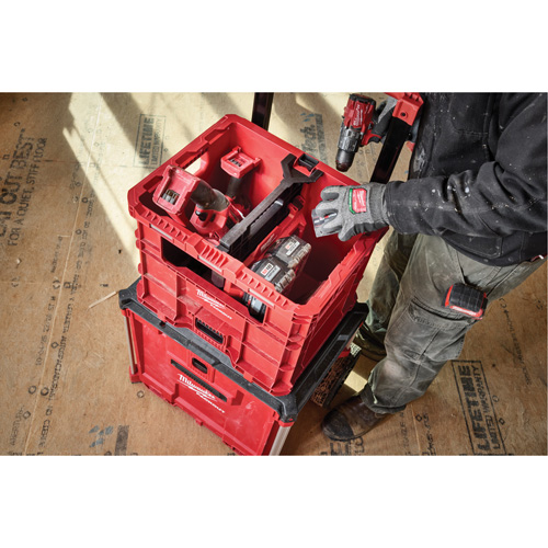 Caisse Packout, 15-3/4" x 18-5/8" x 15", Noir/Rouge NTL Industrial