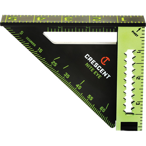 EX4 NITE EYE Extendable Trim Square NTL Industrial