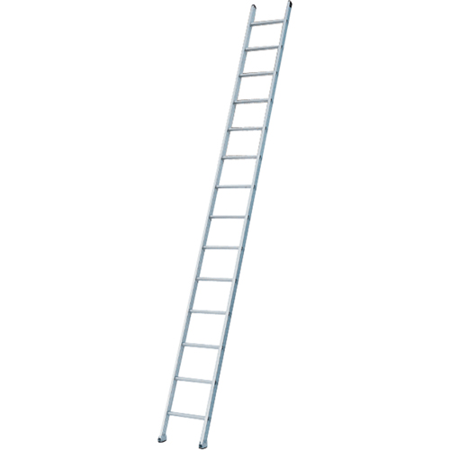 Industrial Heavy-Duty Extension/Straight Ladders, 8', Aluminum, 300 lbs., CSA Grade 1A NTL Industrial