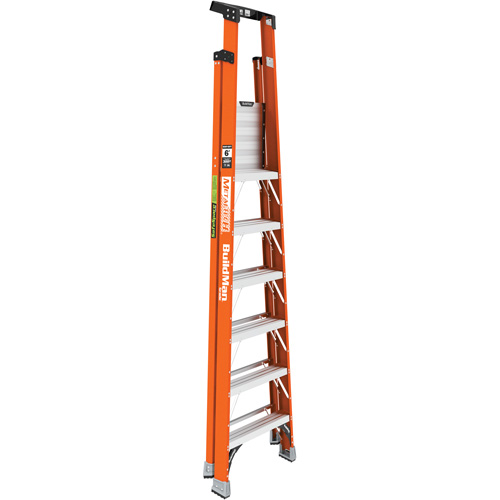 Escabeau avec plateforme Safespace, 6', Cap. De 300 lb NTL Industrial