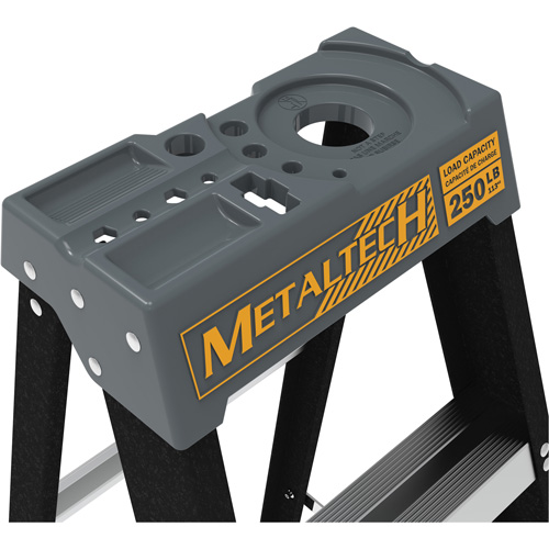 Step Ladder with Paint Tray, 4', Fibreglass, 250 lbs. Capacity, Type 1 NTL Industrial